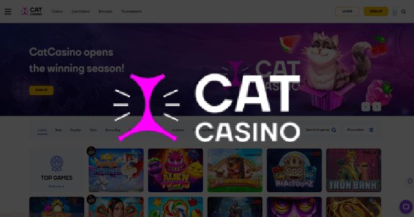 Entdecken Sie die Katzenminen von Catspins - das beste Online Casino.