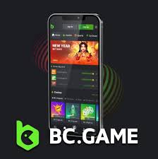 دليل سحب BC.Game خطوات بسيطة لتحصيل أرباحك دليل سحب BC.Game خطوات بسيطة لتحصيل أرباحك