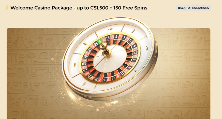 Overview of winmega app