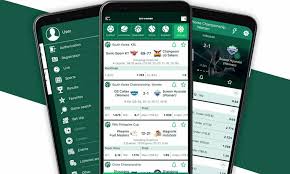Comprehensive BetWinner Review Everything You Need to Know -866576823