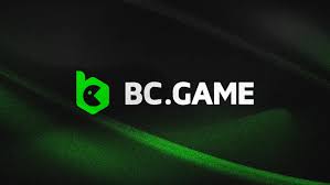 The Complete Guide to BC.CO Registration Process The Complete Guide to BC.CO Registration Process